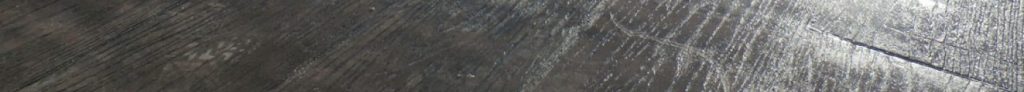 cropped-P1140808.jpg